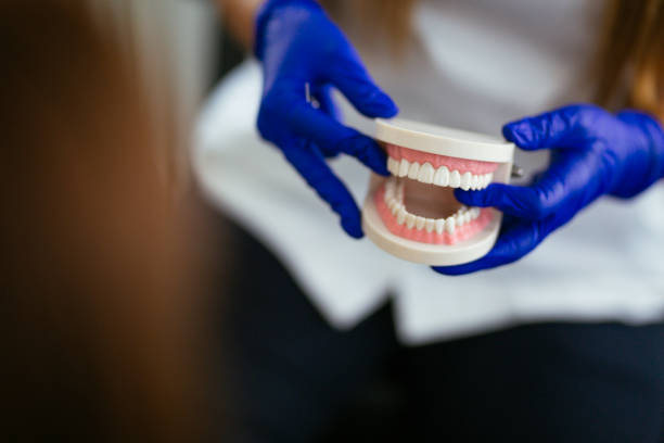 Best Preventive Dentistry  in Chelsea, MI
